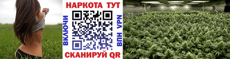Где найти наркотики Кадников ГАШ Конопля COCAIN Галлюциногенные грибы Меф