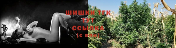 дурь Болхов
