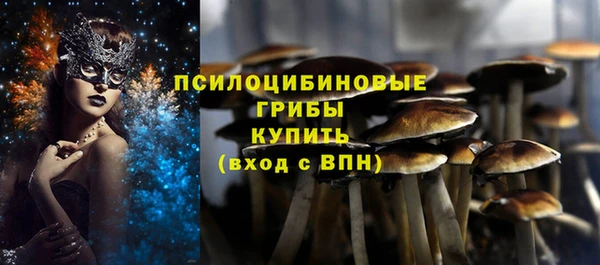 дживик Зеленодольск