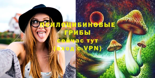 дживик Зеленодольск